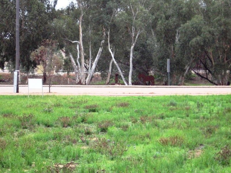 83 Railway Terrace, Goomalling WA 6460
