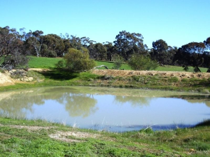 82 Moondyne Road, Mokine via, Northam WA 6401