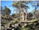 82 Moondyne Road, Mokine via, Bakers Hill WA 6562