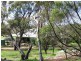 146 Leeder Road, Mokine, Northam WA 6401