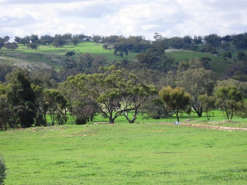 146 Leeder Road, Mokine, Northam WA 6401