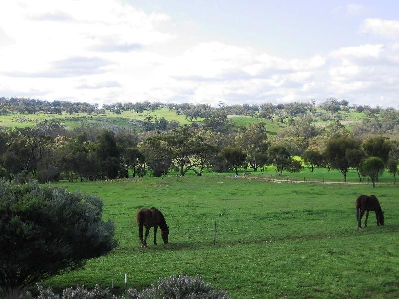 146 Leeder Road, Mokine WA 6401