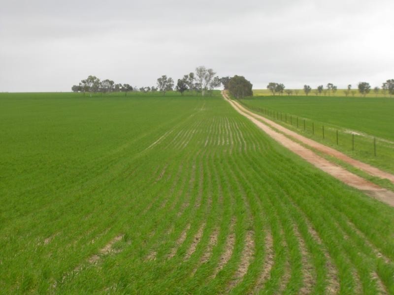 Lot 17942/ BERRING RD, Goomalling WA 6460