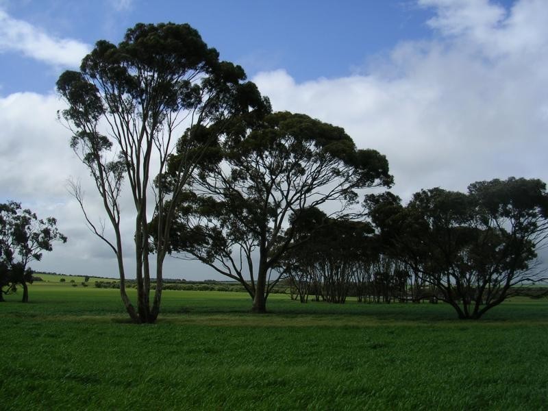 Lot 17942/ BERRING RD, Goomalling WA 6460
