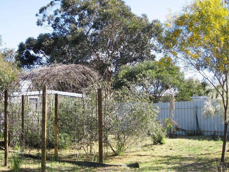 32 Mitchell Street, Cunderdin WA 6407