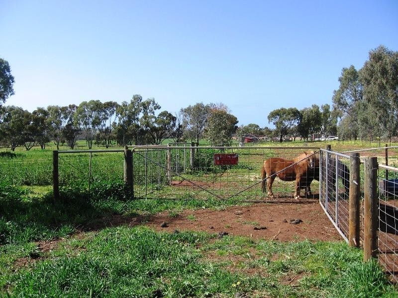 100 Withers Street, Northam WA 6401