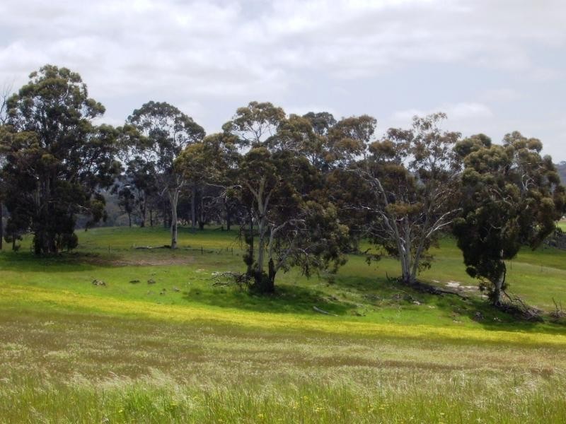 238 Harders Chitty Road, Toodyay WA 6566