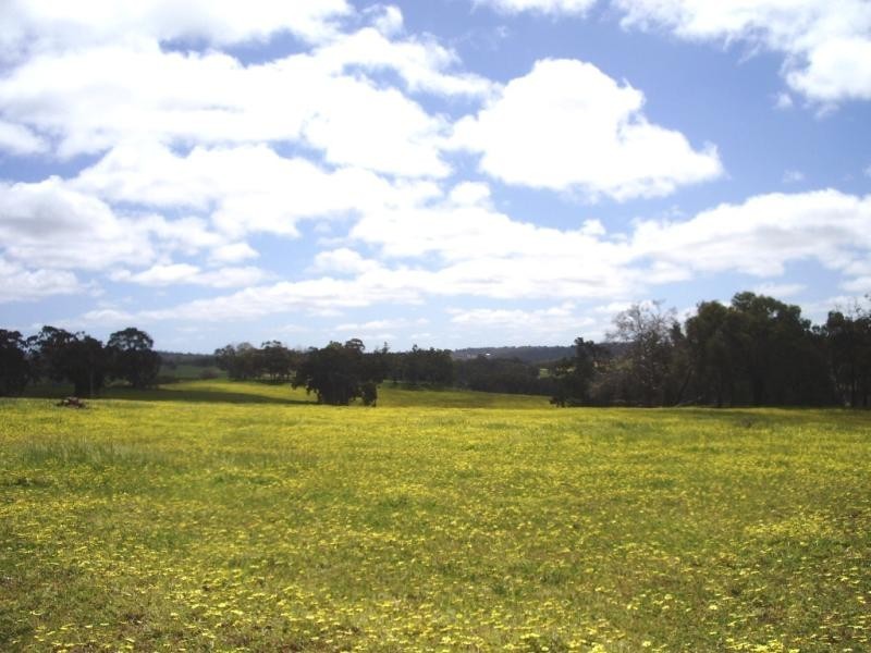 238 Harders Chitty Road, Toodyay WA 6566
