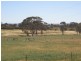 Lot 9 Watts Street, Cunderdin WA 6407