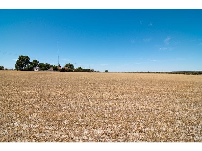 6 Sheenan Road, Cunderdin WA 6407