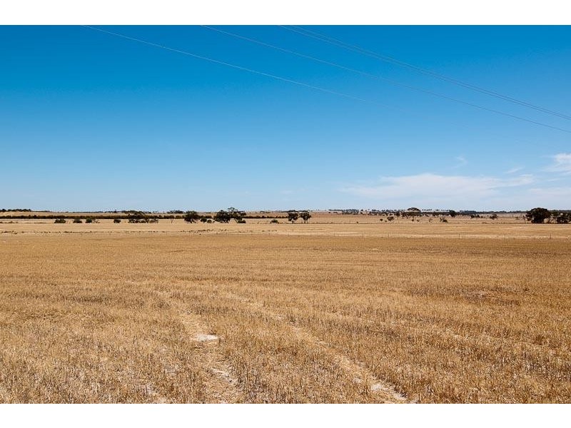 6 Sheenan Road, Cunderdin WA 6407