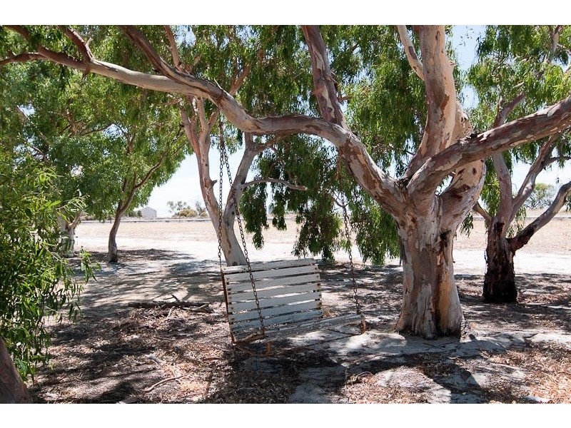 6 Sheenan Road, Cunderdin WA 6407