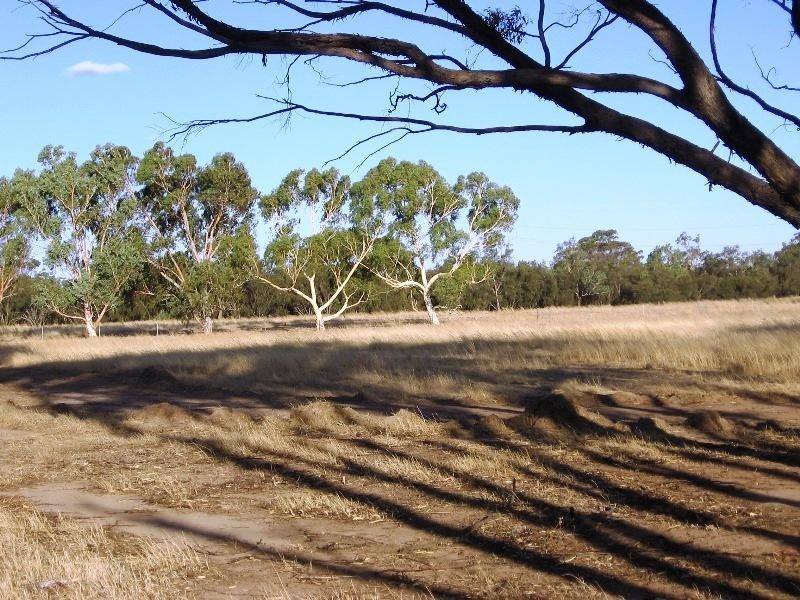 409 Northam York Road Muluckine, Northam WA 6401