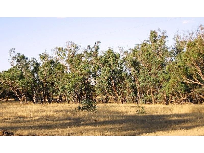 409 Northam York Road Muluckine, Northam WA 6401