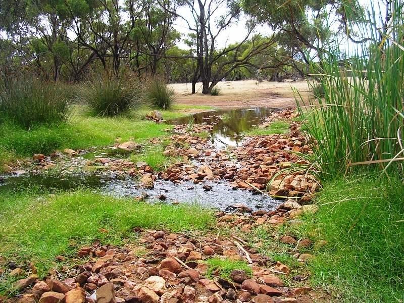 Lot 27247/66 Fowler St, Bolgart WA 6568