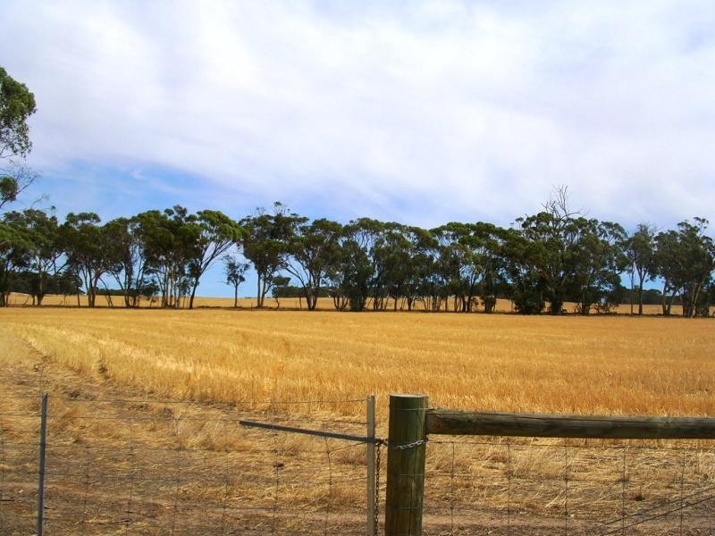 Lot 27247/66 Fowler St, Bolgart WA 6568