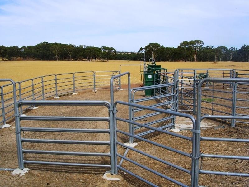 Lot 27247/66 Fowler St, Bolgart WA 6568