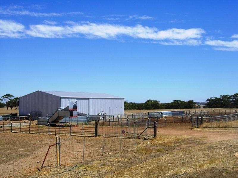 Lot 27247/66 Fowler St, Bolgart WA 6568