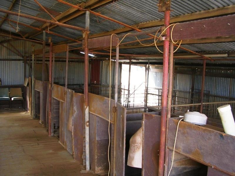 2650/ Kalannie-Kulja Rd, Kulja via, Kalannie WA 6468