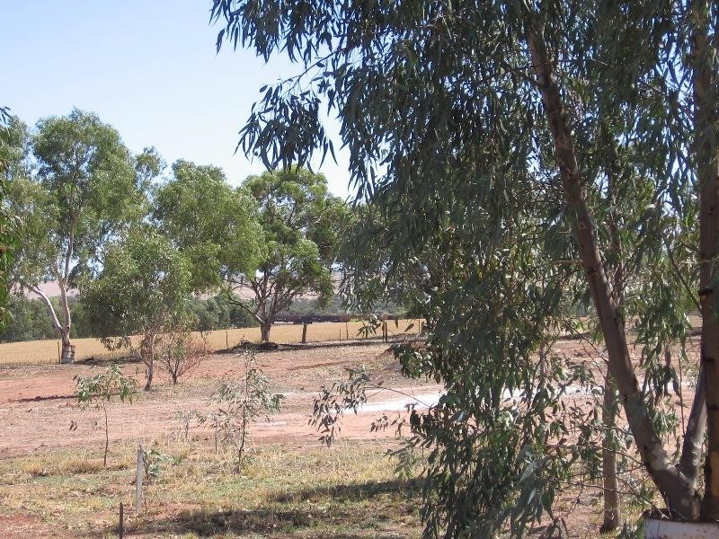 28 Walsh Street, Grass Valley via, Northam WA 6401