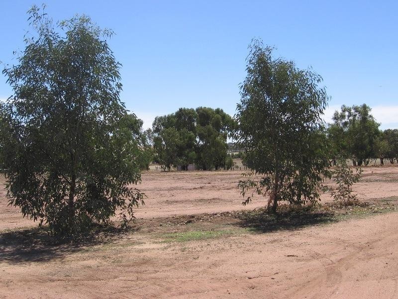 28 Walsh Street, Grass Valley via, Northam WA 6401