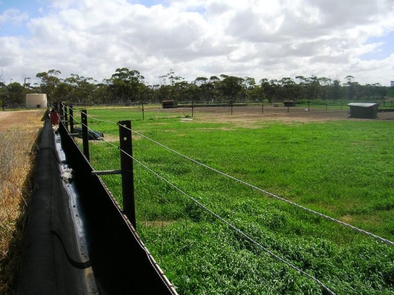Bencubbin WA 6477