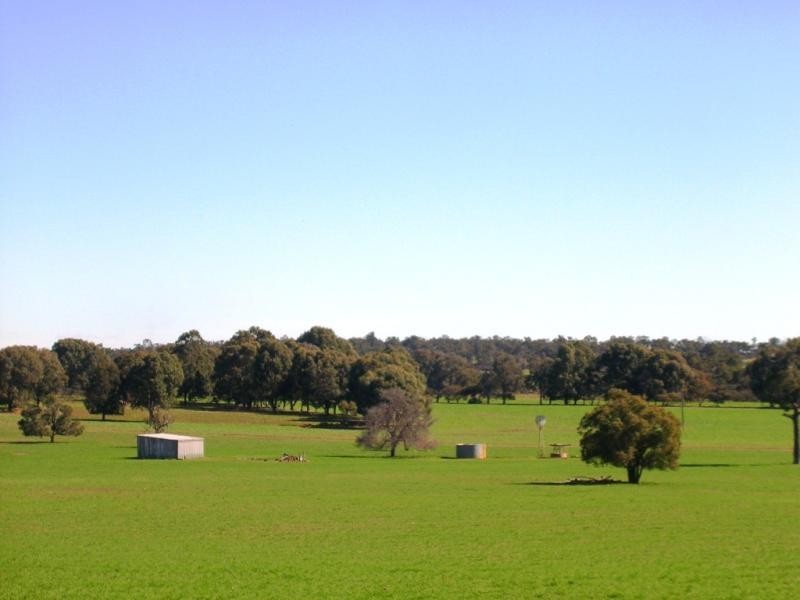 566 FERNIE RD, Toodyay WA 6566