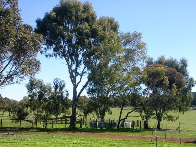 566 FERNIE RD, Toodyay WA 6566