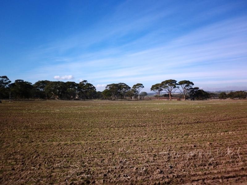 Lot 17/ Kroe Hut Road, Karranadgin via, Toodyay WA 6566
