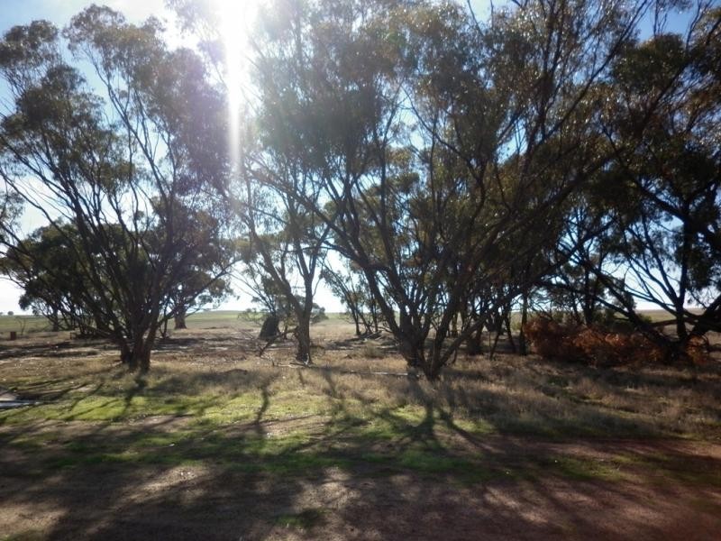Lot 17/ Kroe Hut Road, Karranadgin via, Toodyay WA 6566