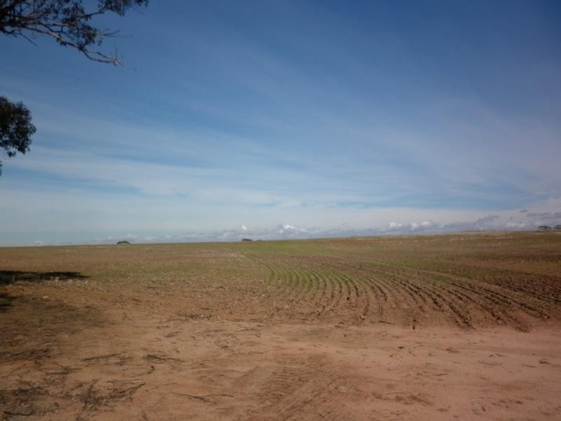 Lot 17/ Kroe Hut Road, Karranadgin via, Toodyay WA 6566