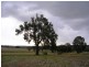 215 Beard Rd, Culham via, Toodyay WA 6566