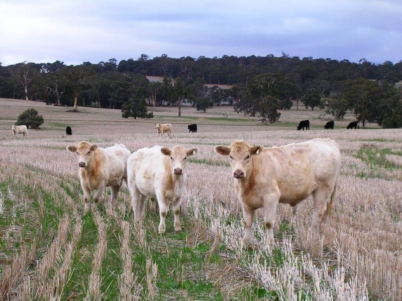 215 Beard Rd, Culham via, Toodyay WA 6566