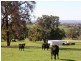 Lot 301/ Smith Rd, Northam WA 6401