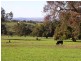 Lot 301/ Smith Rd, Northam WA 6401