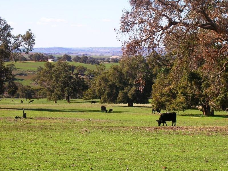 Lot 301/ Smith Rd, Northam WA 6401