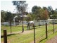 55 East Street, Northam WA 6401