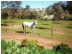 55 East Street, Northam WA 6401