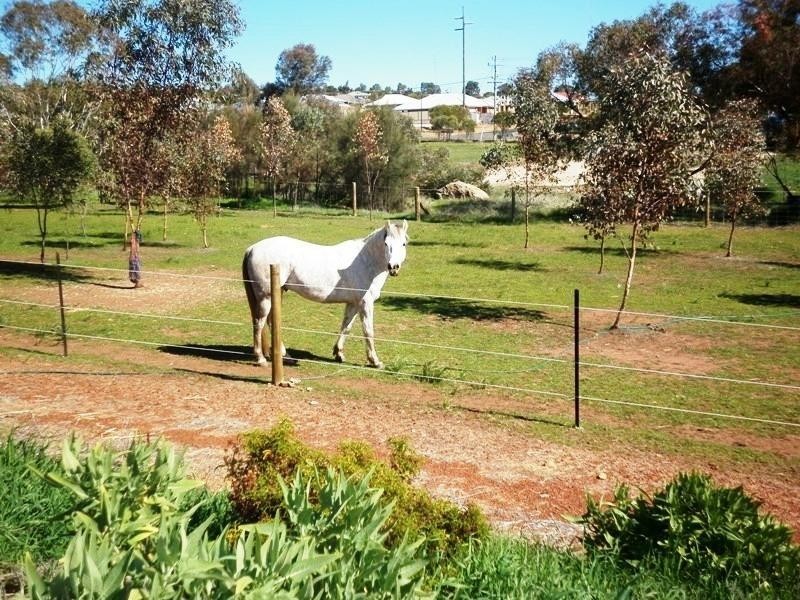 55 East Street, Northam WA 6401