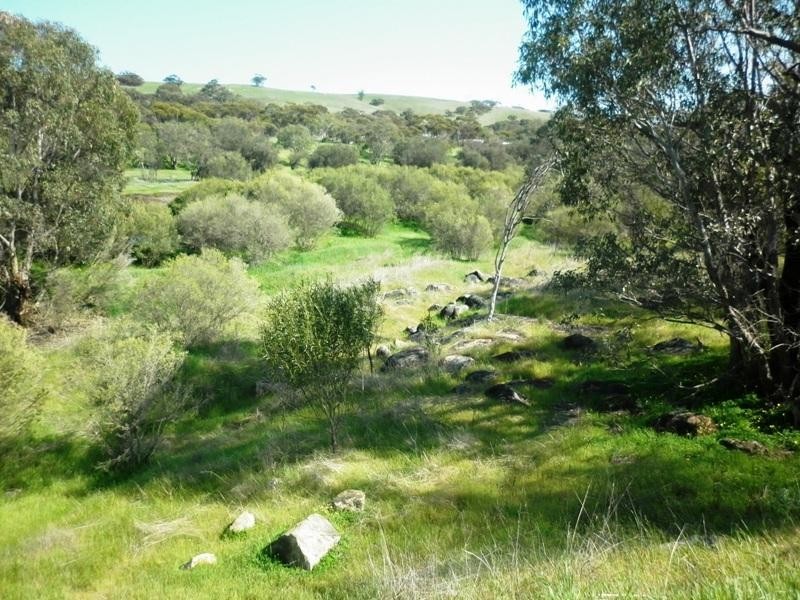 53 Toodyay Street, Toodyay WA 6566
