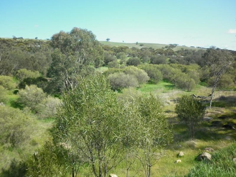 53 Toodyay Street, Toodyay WA 6566