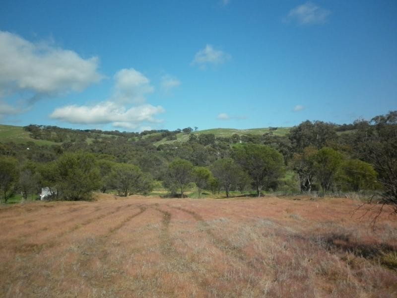 53 Toodyay Street, Toodyay WA 6566
