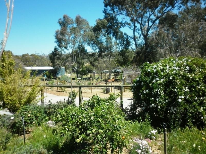 57 Goomalling Road, Northam WA 6401