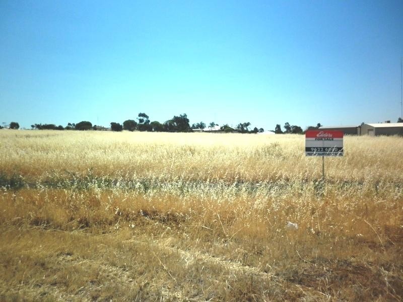 29 Loton Drive, Northam WA 6401