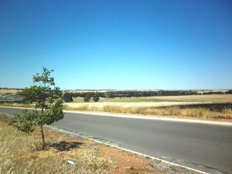 29 Loton Drive, Northam WA 6401