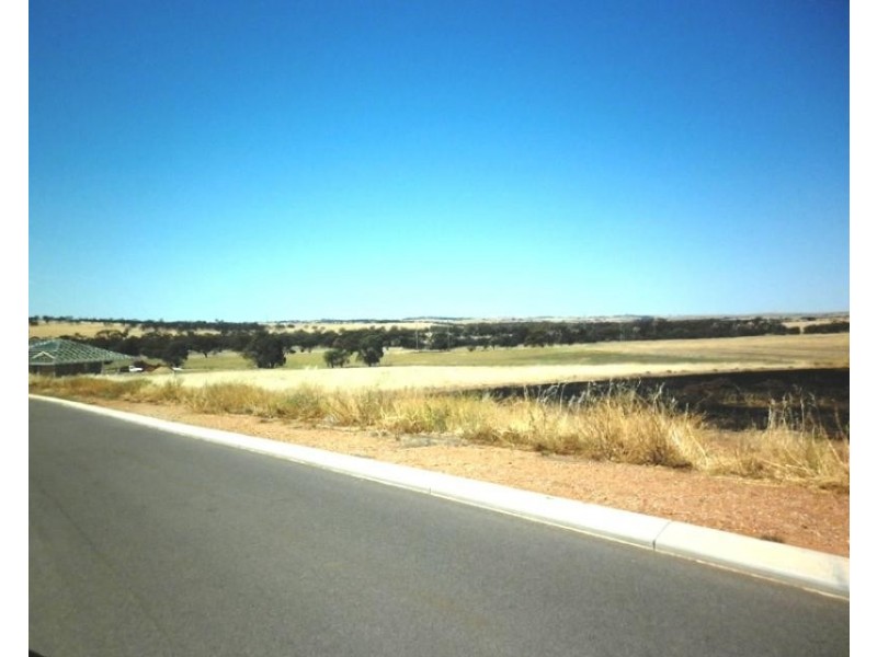 29 Loton Drive, Northam WA 6401