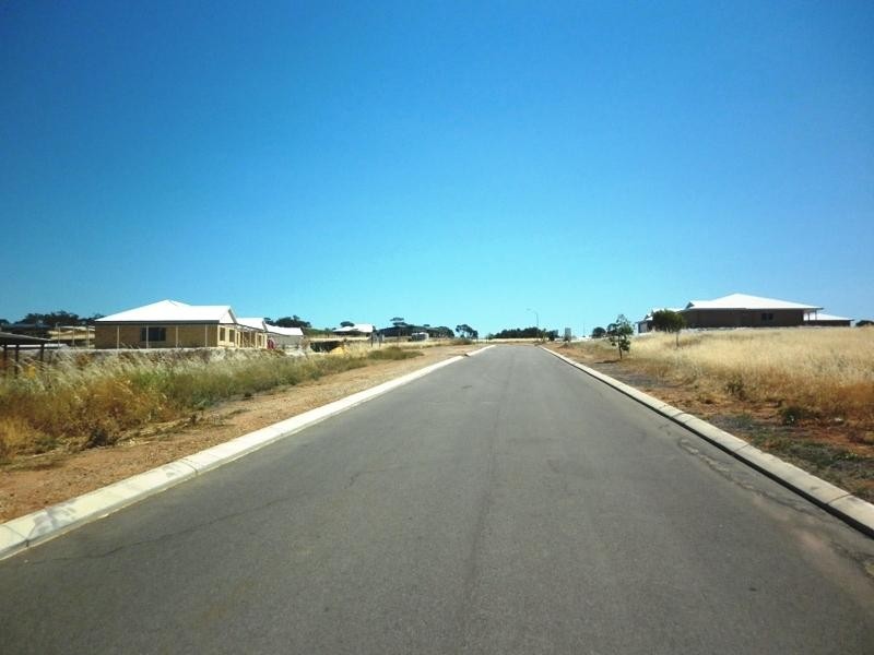 29 Loton Drive, Northam WA 6401