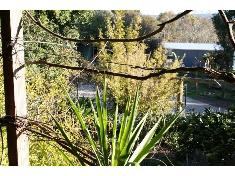 57 Goomalling Road, Northam WA 6401