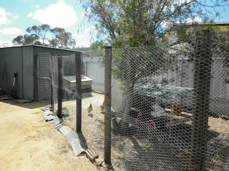 17 Camm Streeet, Wongan Hills WA 6603