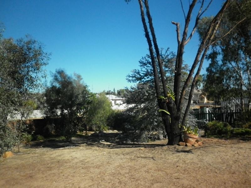 38 Selby Street, Northam WA 6401